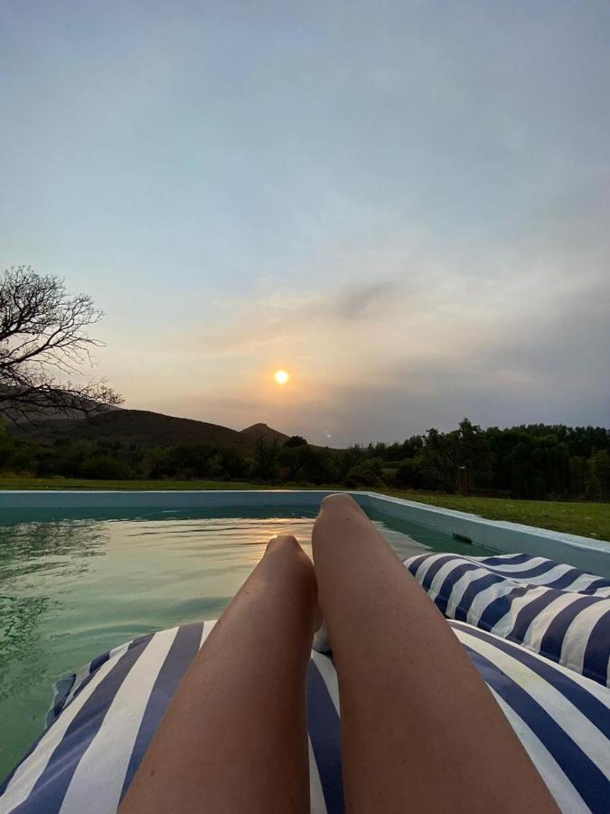 プリンス・アルバート Vrisch Gewagt Boutique Self-Catering Olive Farmゲストハウス エクステリア 写真