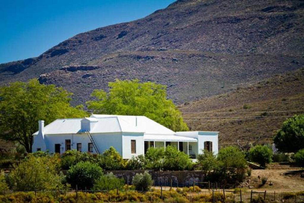 プリンス・アルバート Vrisch Gewagt Boutique Self-Catering Olive Farmゲストハウス エクステリア 写真
