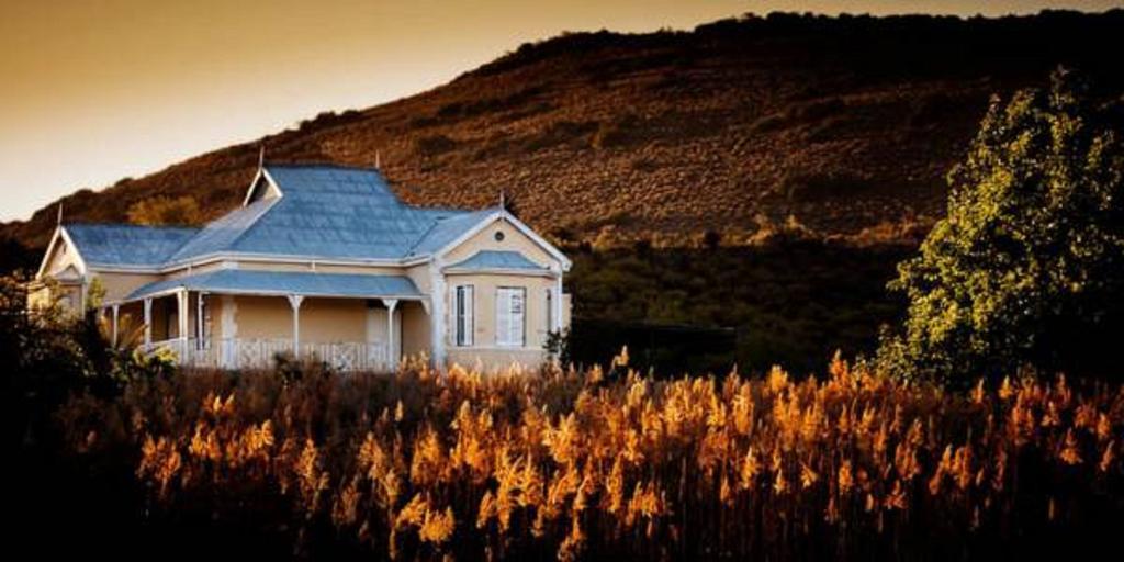 プリンス・アルバート Vrisch Gewagt Boutique Self-Catering Olive Farmゲストハウス エクステリア 写真
