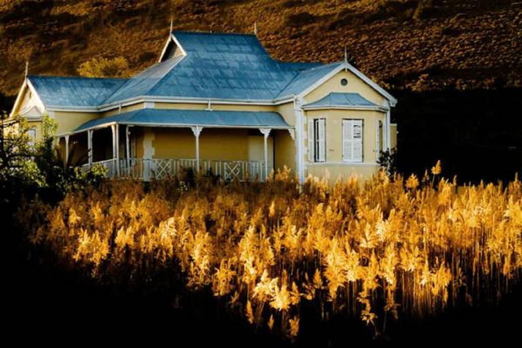 プリンス・アルバート Vrisch Gewagt Boutique Self-Catering Olive Farmゲストハウス エクステリア 写真